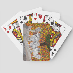 Cartes de jeu de loups gris