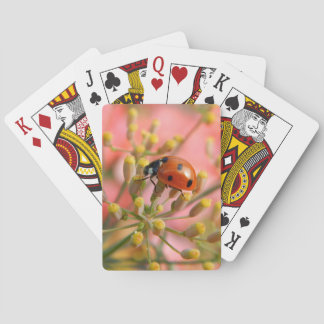 Cartes de jeu de Madame Bug