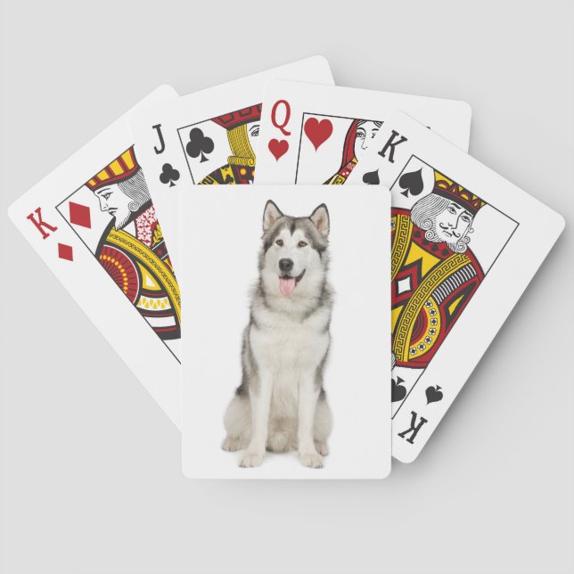 Cartes de jeu de Malamute d'Alaska (dos)