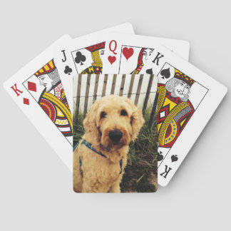 Cartes de jeu de Murray