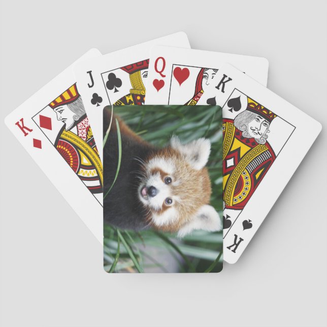 Cartes de jeu de panda rouge (dos)