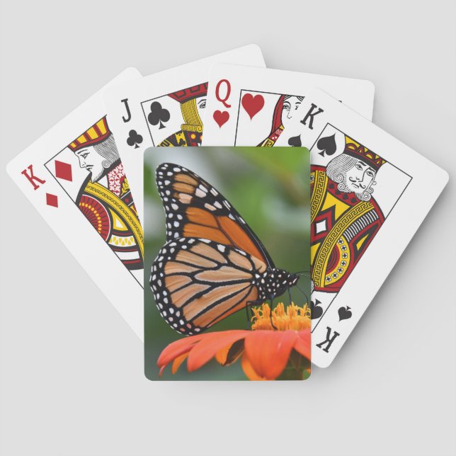 Cartes de jeu de papillon de monarque (dos)
