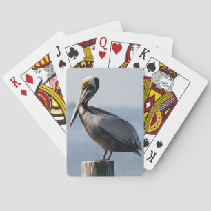 Cartes de jeu de pélican