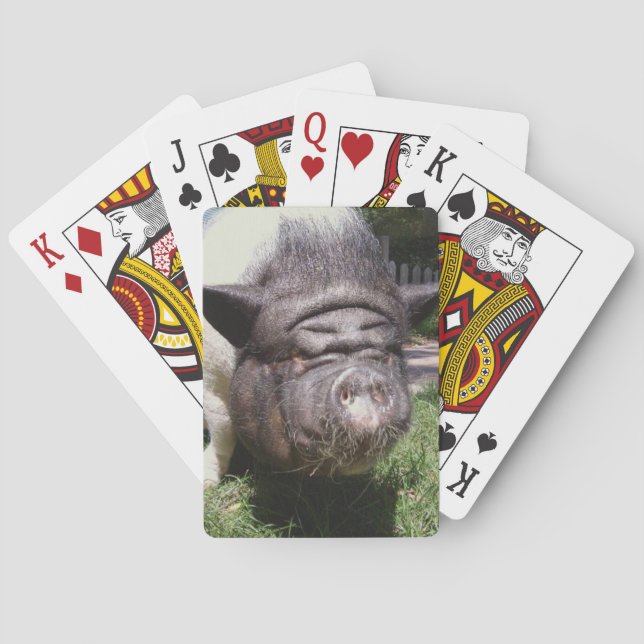 Cartes de jeu de porc (dos)