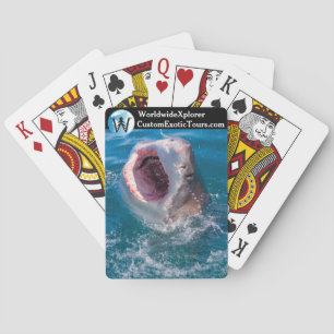 Cartes de jeu de requins carte