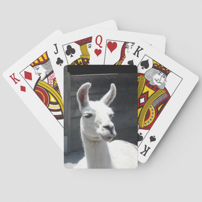 Cartes de jeu de sourire de lama (dos)