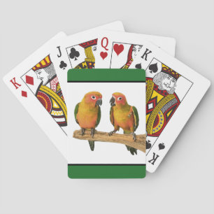 Cartes de jeu de Sun Conure (beaucoup de couleurs)