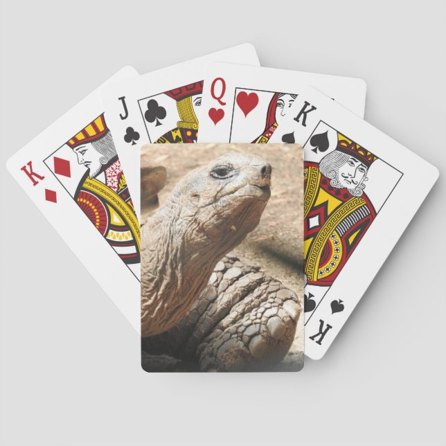 Cartes de jeu de tortue (dos)
