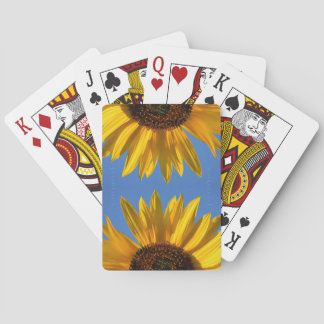 Cartes De Jeu De Tournesol