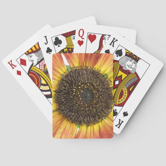 Cartes De Jeu De Tournesol Orange (dos)