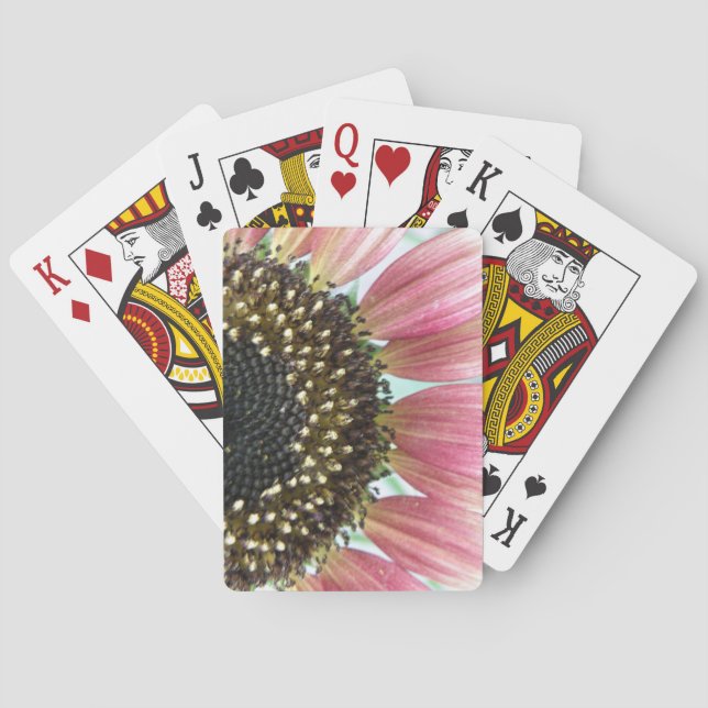 Cartes De Jeu De Tournesol Rose (dos)