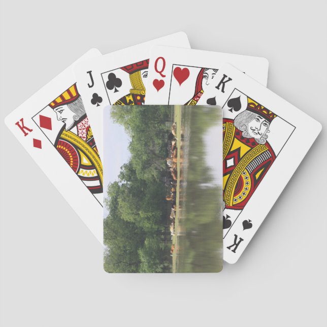 Cartes De Jeu De Vache (dos)