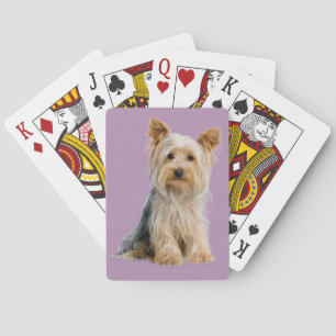 Cartes de jeu de Yorkie