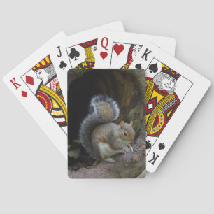 Cartes de jeu d'écureuil
