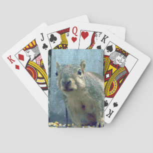 Cartes de jeu d'écureuils
