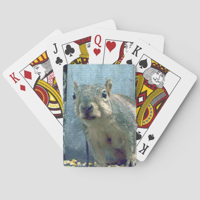 Cartes de jeu d'écureuils (dos)