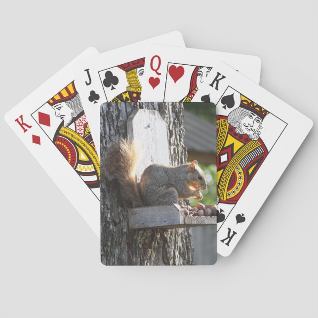 Cartes de jeu d'écureuils (dos)