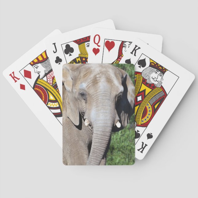 Cartes de jeu d'éléphant (dos)