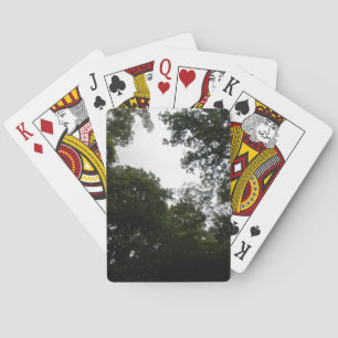 Cartes de jeu déplaisantes en forêt