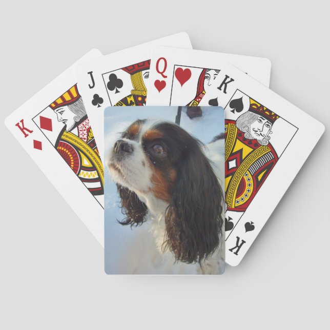 Cartes De Jeu D'Espagnol Cavalier Tri-Colorées (dos)