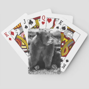 Cartes de jeu d'ours