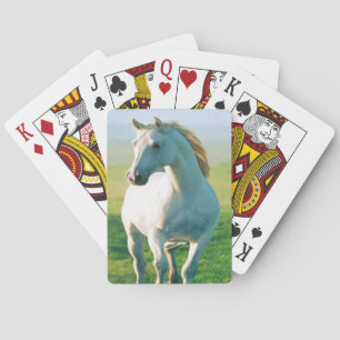Cartes de jeu du cheval blanc