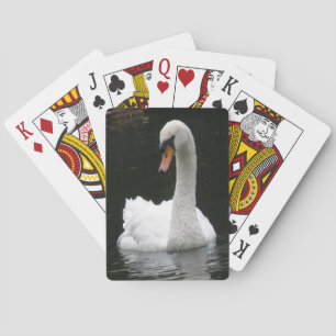 Cartes de jeu du cygne blanc