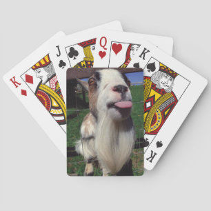 Cartes de jeu effrontées de chèvre