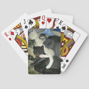 Cartes de jeu faisantes une sieste de chatons,