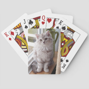 Cartes de jeu faites sur commande de chaton de