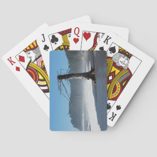 Cartes de jeu Funky Tree