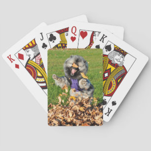 Cartes de jeu heureuses de Kees