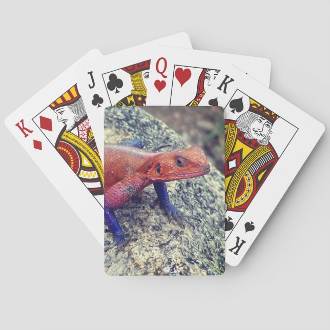 Cartes de jeu Lizard (dos)