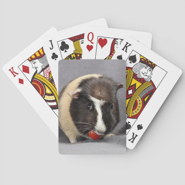 Cartes de jeu malfaisantes de cobaye (dos)