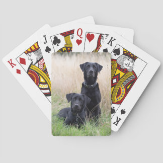 Cartes de jeu noires de Labrador