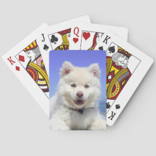 Cartes de jeu photo personnalisées pour animaux de