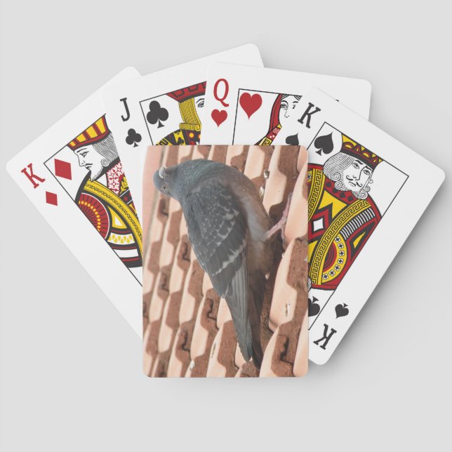 Cartes de jeu Pigeon Sur Le Toit (dos)