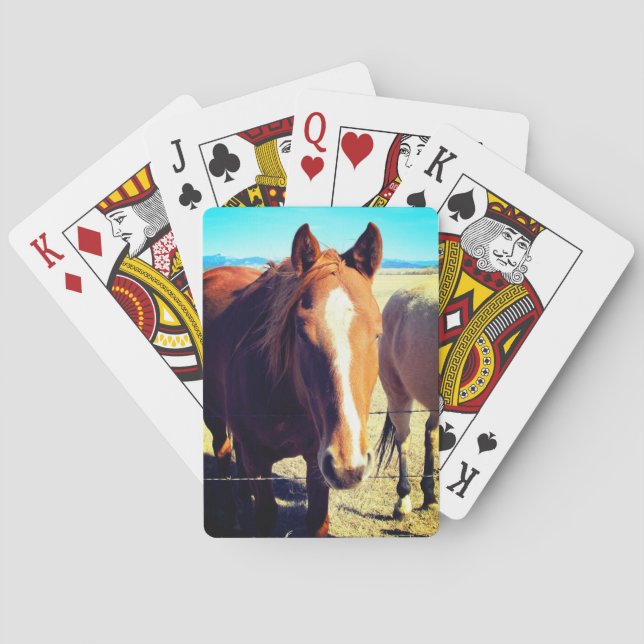 Cartes de jeu pour chevaux (dos)