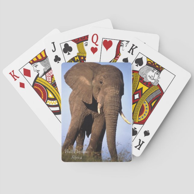 Cartes de jeu pour la faune (dos)