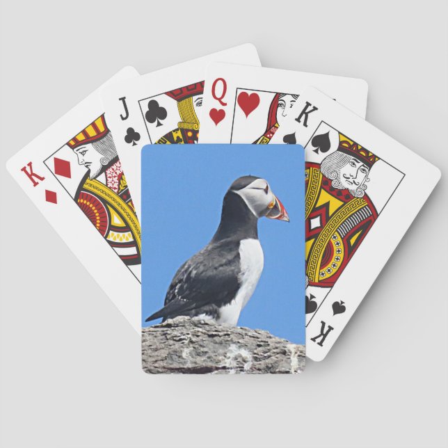 Cartes de jeu Puffin (dos)