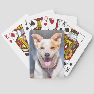 Cartes de jeu riantes de chien