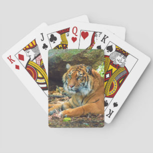 Cartes de jeu Sibériennes