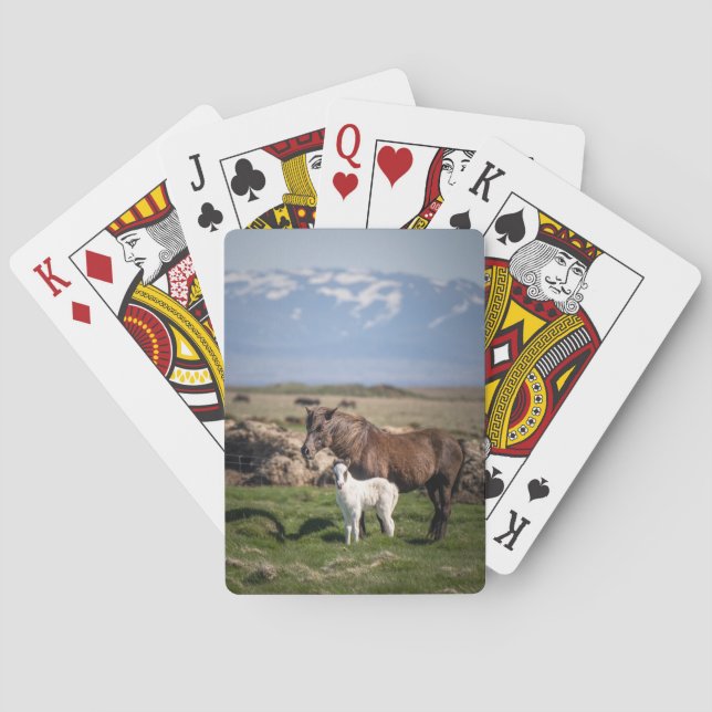 Cartes de jeu uniques de l'amoureux du cheval (dos)