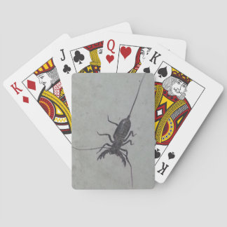 Cartes de jeu Vinegaroon
