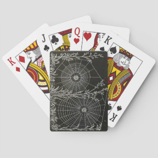 Cartes de jeu Web Spider. Poker Black Jack Animal