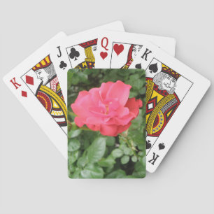 Cartes de jeu Wild Rose