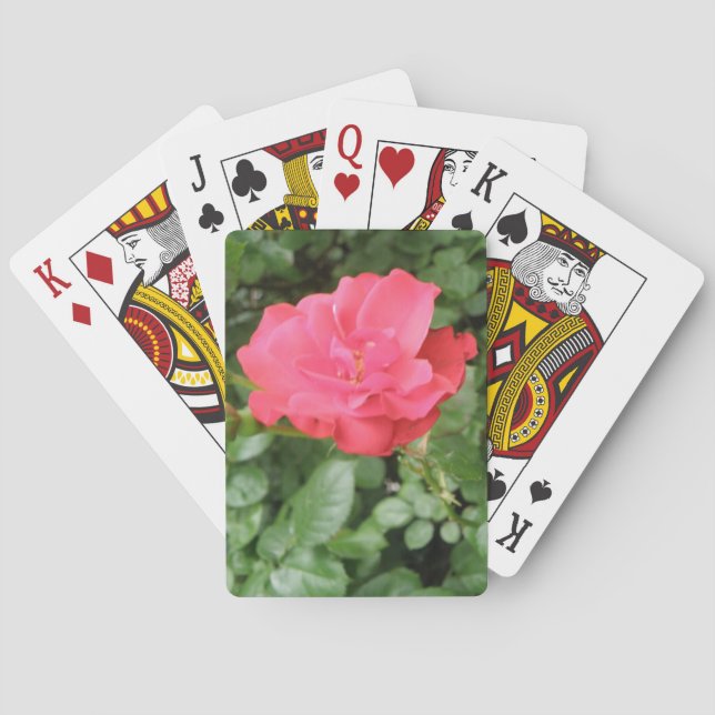 Cartes de jeu Wild Rose (dos)