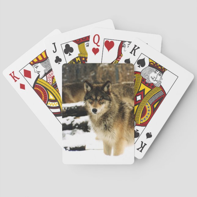 Cartes de jeu Wolf Bicycle (dos)