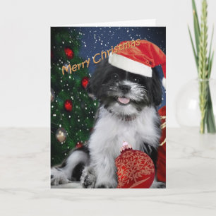 Cartes de Joyeux Noël de Shih Tzu