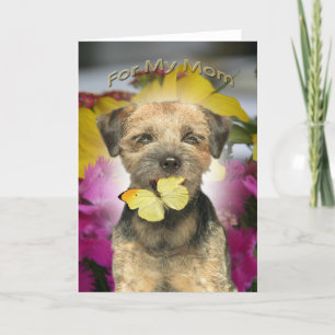 Cartes de maman de Terrier de frontière